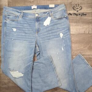 Lane Bryant Body Icon Signature Fit Mid Rise Jeans Size 26